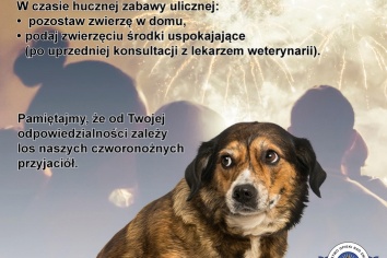 Spokojna noc sylwestrowa dla kotów i psów