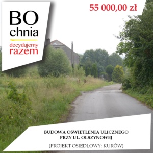 Budowa oświetlenia ulicznego przy ul. Olszynowej (osiedle Kurów) Budowa oświetlenia ulicznego przy ul. Olszynowej (osiedle Kurów)