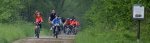 Rowerowy Pierścień Solny „Salina Cracoviensis” – turystyczny szlak kulturowy po dawnych salinach wielicko-bocheńskich Rowerowy Pierścień Solny „Salina Cracoviensis” – turystyczny szlak kulturowy po dawnych salinach wielicko-bocheńskich